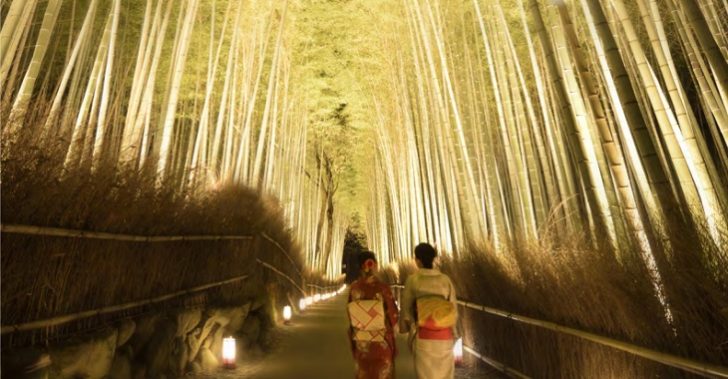 16年 京都 嵐山の花灯路の日程はいつからいつまで おすすめのライトアップエリアと見どころは 混雑状況は 週刊 生活チャンネル